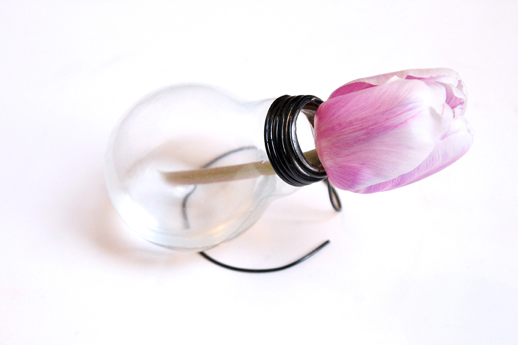 soliflore-ampoule-tulipe-1