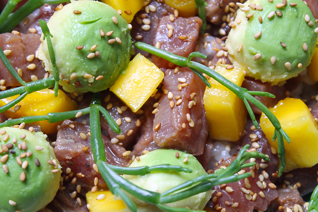 poke-bowl-thon-avocat-mangue-salicornes-1