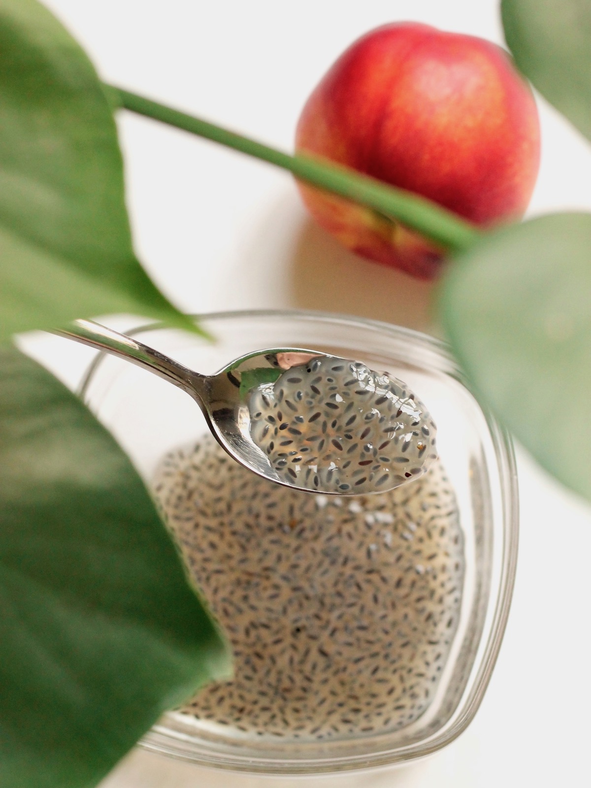 Pourquoi consommer des graines de Basilic? - Blog
